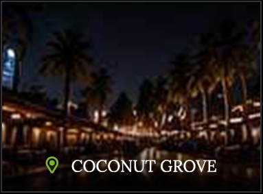Coconut Grove delivery area